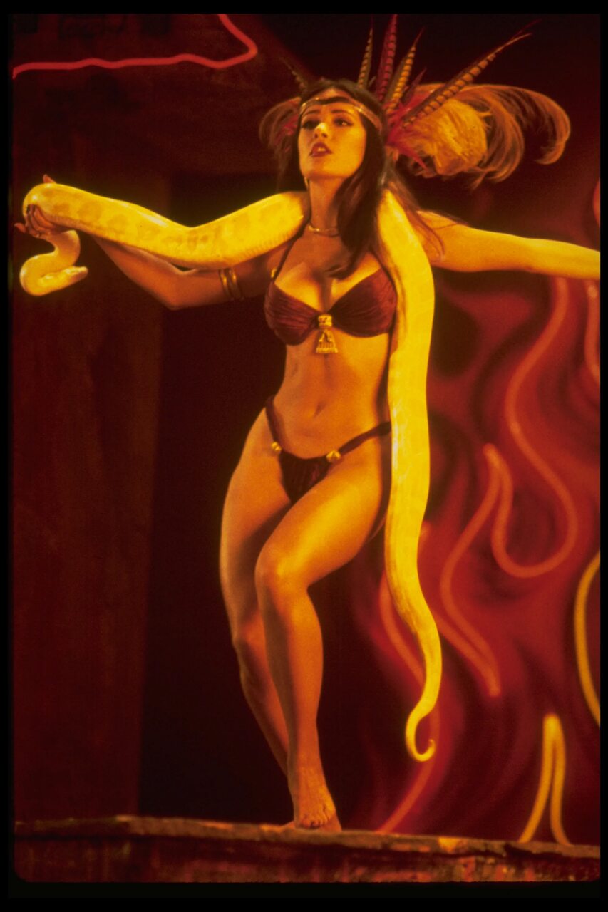 Prestamps Celiocolpotomy Cripples Touchups Redispel